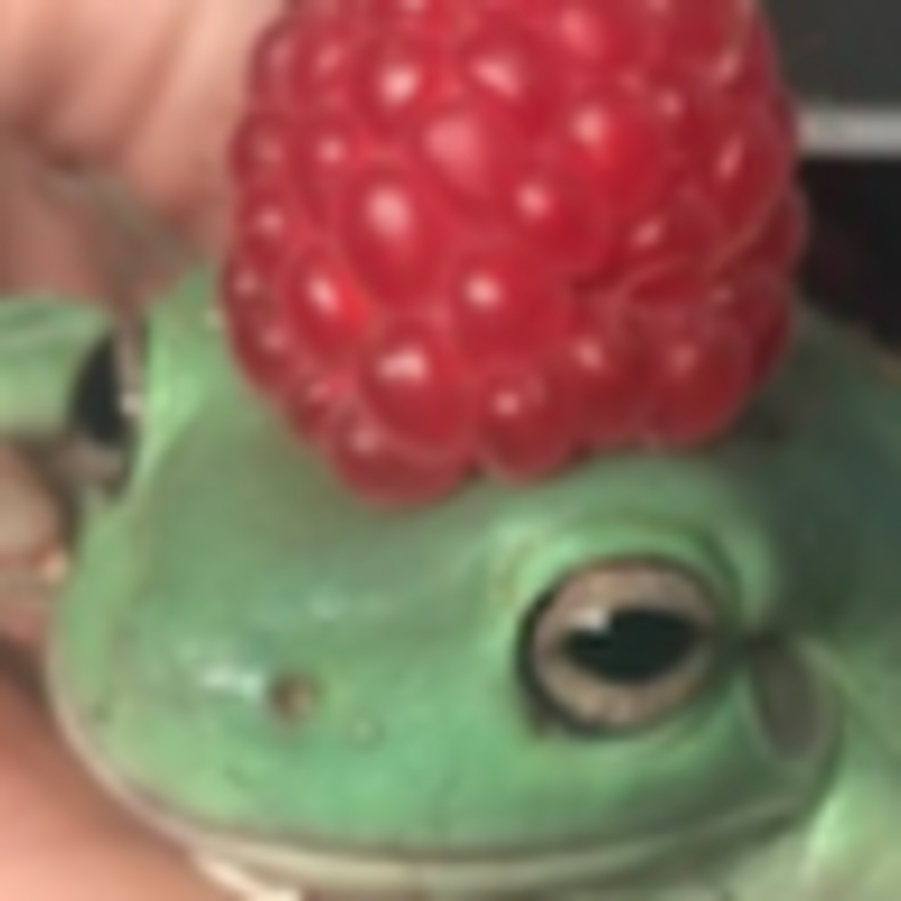 Meet your Posher, Charlie